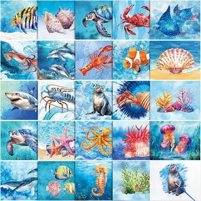 Trandraft 24 Pcs Dementia Products for Elderly Alzheimers Activities for Adults Seniors Reusable Water Painting Toys with 1 Painting Brush Water Doodle Coloring Drawing Gifts Set (PET)