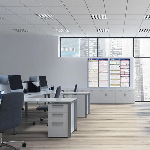 2025 Florida State and Federal Labor Laws Poster,OSHA Workplace Compliant,English Employment Poster,All in One Required Compliance Posting 16" x 40" in Kuwait