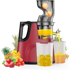 Cold Press Juicer Machine - Easy to Clean Slow Masticating Juicer for Vegetables and Fruits, High Juice Yield with Low 60dB Noise, Capable of Making Fruit Smoothies