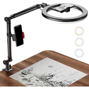 Ring Light with Stand and Phone Holder, USB 10'' Ring Light for Desk, Overhead Camera Mount with Ring Light, Desktop Ring Light with Clamp for Photography/Makeup/Live Stream Video/YouTube