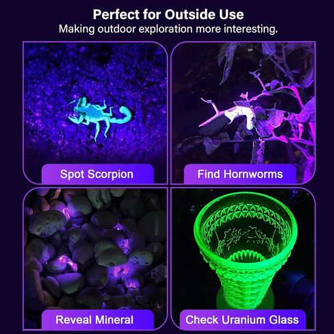 ESCO LITE Escolite UV Flashlight Black Light، 51 LED 395 نانومتر كاشف الضوء الأسود بالأشعة فوق البنفسجية لبول الكلاب وبقع الحيوانات الأليفة وحشرات السرير in Kuwait