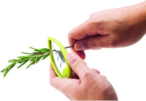 أداة تعرية الأعشاب من جوي ليف، مصنوعة من الفولاذ المقاوم للصدأ والبلاستيك الخالي من مادة BPA، مقاس 4 بوصات × 1.5 بوصة × 0.25 بوصة in Kuwait