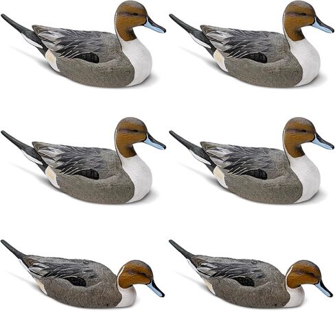 Rig'Em Right Waterfowl Mainline Decoys in Saudi Arabia