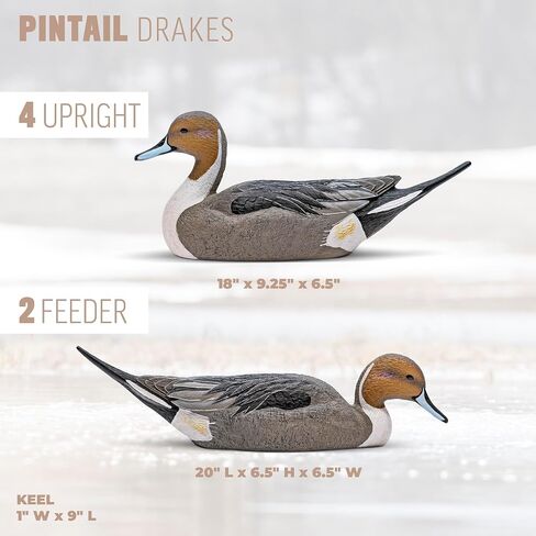 Rig'Em Right Waterfowl Mainline Decoys in Saudi Arabia
