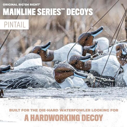 Rig'Em Right Waterfowl Mainline Decoys in Saudi Arabia