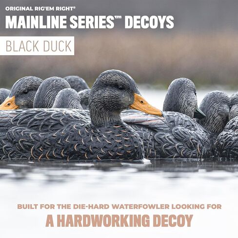 Rig'Em Right Waterfowl Mainline Decoys in Saudi Arabia