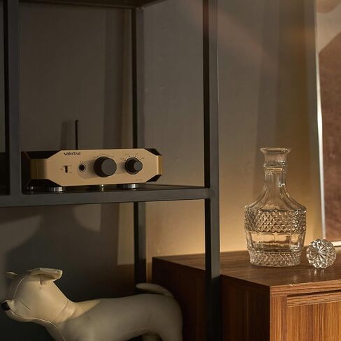 Octa A1 Stereo Integrated Amplifier | BT, RCA, AUX, USB Inputs | Subwoofer, Headphone Outputs | 2.1 Channel 35W HiFi Amp for Modern Home Audio System (Sunset Gold) in Saudi Arabia