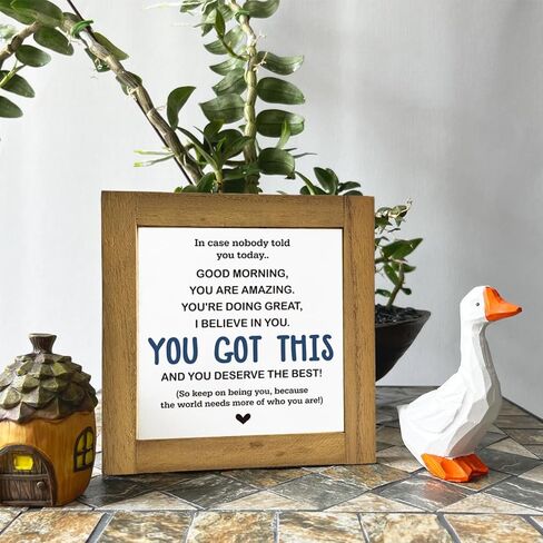 علامة ملهمة، ديكور مكتب لويحات خشبية على شكل صندوق، ديكور طاولة لافتة زخرفية، لوحة خشبية تأكيد، هدية مكتب، هدية لزملاء العمل والأصدقاء والأطفال، لقد حصلت على هذا وتستحق أفضل علامة B1 in Kuwait