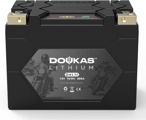DKL14 550A LiFePO4 Motorcycle Lithium Battery, 12V 4Ah Powersports Battery, Compatible Jet Ski, Quad, Lawn Mower, ATV, UTV, Scooter, Generator Battery, Snowmobile in Saudi Arabia