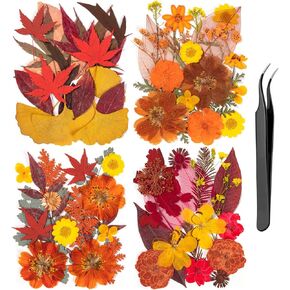 Boho Pressed Flowers Bulk, Vintage Dried Flower Leaves, Natural Fall Pressed Dried Flowers with Tweezer for DIY Crafts Resin Mold Candles Cake Bridal Scrapbooking Supplies