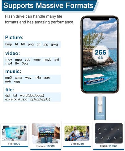 محرك أقراص فلاش USB سعة 256 جيجابايت للهاتف والوسادة، عصا صور، محركات أقراص USB خارجية عالية السرعة لتخزين الصور، عصا ذاكرة لحفظ المزيد من الصور ومقاطع الفيديو (أزرق، 256 جيجابايت) in Saudi Arabia