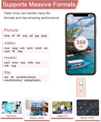 256GB USB Flash Drive for Phone and Pad, Photo Stick High Speed External USB Thumb Drives Photo Storage Memory Stick for Save More Photos and Videos (Blue, 256GB) in Saudi Arabia
