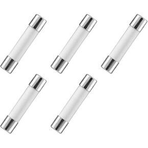 5PCS Ceramic Fuse Tubes 20A 6x30mm Microwave Oven Fuse Protection Circuit Flat Tube Fuse Tubes Compatible Universal Replacement Fuses