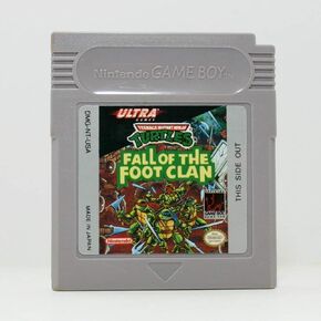 Teenage Mutant Ninja Turtles: Fall of the Foot Clan (Renewed)