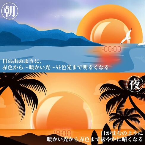 Wake Up Light, Sunrise Alarm Clock Radio, Bedside Lamp with Sleep Aid, Dual Alarms, Snooze, Colorful Lights, Natural Sounds for Kids Adults Bedroom in Kuwait