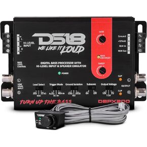DS18 DBPX200 Digital Bass Processor with Hi to Low Signal Converter & Speaker Emulator, Digital Bass Restoration Processor, 2-Channel Preamp Input/Output, Fully Adjustable Bass