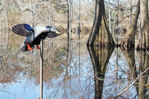 MOJO Outdoors Elite Series Spinning Wing Duck Decoy, Duck Hunting Gear and Accessories, Woody Wood Duck in Saudi Arabia