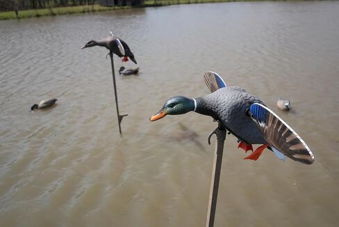 MOJO Outdoors Elite Series Spinning Wing Duck Decoy, Duck Hunting Gear and Accessories, Woody Wood Duck in Saudi Arabia