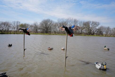 MOJO Outdoors Elite Series Spinning Wing Duck Decoy, Duck Hunting Gear and Accessories, Woody Wood Duck in Saudi Arabia