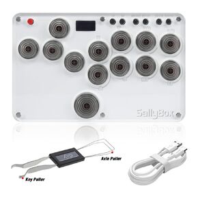 BITFUNX Gaming Keypad, Arcade Stick 13Keys Sallybox Leverless Controller - Supports SOCD & Hot Swap, Arcade Controller Street Fight for PC/PS3/PS4/Switch/Steam with Custom RGB & TURBO (Black Keycap)