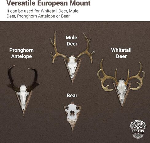 Swan Neck Arrowhead European Mount Plaques, Reversible Wall Mount & Desktop Mount, Antler Mounts or Skull Hanger for Deer, Antelope, Boar, & More, Made in The USA in Saudi Arabia