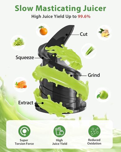 Juicer Machines, ECOSELF Cold Press Juicer with 4.35" Large Feed Chute Fit Whole Fruits & Vegetables, Slow Masticating Juicer Self Feeding Effortless for Batch Juicing, High Juice Yield in Saudi Arabia