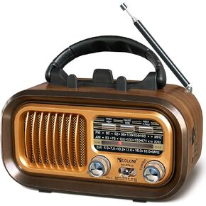 Small Retro Vintage Radio with Bluetooth,Portable Transistor Radio AM FM SW with Best Sound,Excellent Reception,Support TF Card USB MP3 Player,Rechargeable Battery Operated Gold