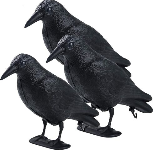 Realistic Crow Decoy, Life Sized Simulation Crow Statue Hunting Bait Decoys Black Crow Figuring,Plastic Crow Decoy for Party Outdoor Garden Decoration (2PCS) in Saudi Arabia