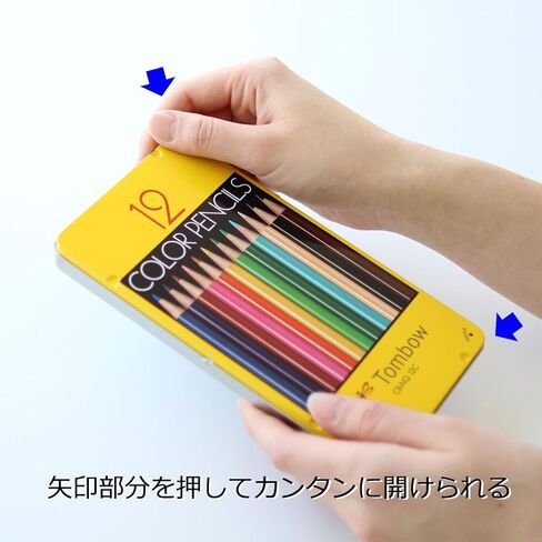 Tombow CQ-NA12C Colored Pencils, NA 12 Colors, Paper Box Included in Saudi Arabia