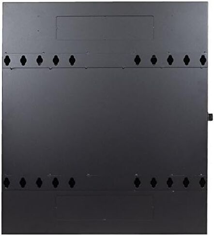 NavePoint 2U Vertical Wall Mount Enclosure, 24.6 inch (625mm) to 27.5 inch (700mm) Depth, Cold-Rolled Steel, Black in Saudi Arabia