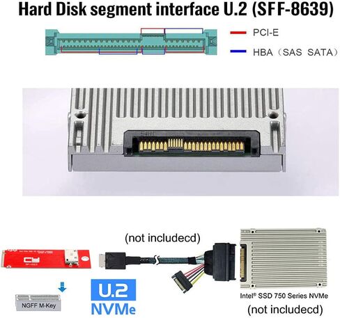 محول CY PCI-E 4.0 M.2 M-Key إلى Oculink SFF-8612 SFF-8611 محول المضيف لـ PCIe Nvme SSD 2260 in Saudi Arabia