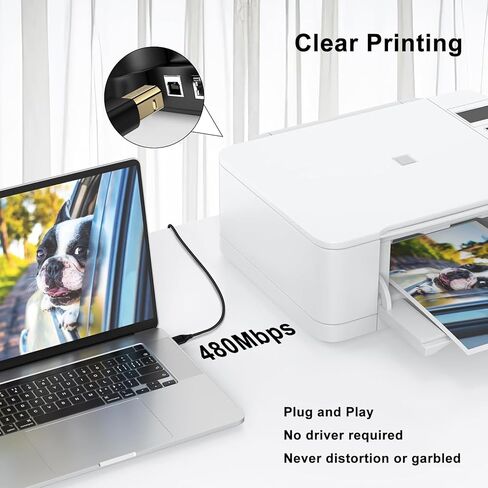 كابل الطابعة بطول 6 أقدام، 2 حزمة من سلك طابعة ماسح ضوئي USB A إلى USB B لـ HP، Canon، Epson، Dell، Brother، Lexmark، Xerox، Samsung، DAC. كابل طابعة USB 2.0 من النوع A ذكر إلى B ذكر للتحكم في البيانو الرقمي MIDI in Kuwait