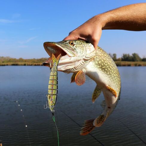 Multi Jointed Swimbait Saltwater Fishing Lures with Sharp Treble Hooks, Bass Fishing Lures Walleye Trout, Lifelike Slow Sinking Fish Bait Lures Kit Freshwater in Kuwait