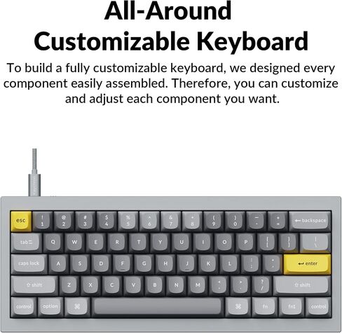 Keychron Q4 Wired Custom Mechanical Keyboard, QMK/VIA Programmable Macro, Full Aluminum, Hot-Swappable Gateron G Pro Blue Switch, 60% Layout Double Gasket Compatible with Mac and Windows - Black in Kuwait