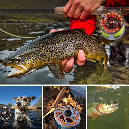 مجموعة صيد الذبابة Goture Fly Fishing Flies و100FT 5WT Fly Fishing Line العائمة و20lb Fly Line Backing 3 في 1 عدة، مجموعة Fly Line لصيد سمك السلمون المرقط، ملحقات صيد السمك in Saudi Arabia