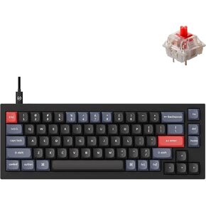 Keychron Q2 Wired Custom Mechanical Keyboard, QMK/VIA Programmable Macro, Full Aluminum, Hot-Swappable Gateron G Pro Blue Switch, 65% Layout Double Gasket Compatible with Mac and Windows - Black
