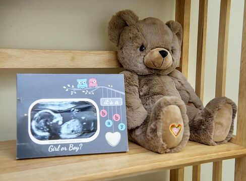 MBHB Digital Voice Recorder Stuffed Animal Bear w/20 Second Recorder, Capture Baby's Heartbeat During Pregnancy + Ultrasound for Baby Showers, Registry, Birthdays, New Mom Gift, Cocoa in Saudi Arabia