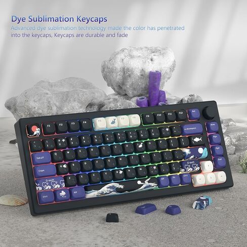 Womier PBT Keycaps - Keycaps 60 65 75 100 Percent, MOA Keycaps Dye-Sublimation, Cute Keycaps Custom Keyboard Keycaps Set for 61/64/68/84/87/100/104/108 Cherry MX Mechanical Keyboard, Kanagawa in Saudi Arabia