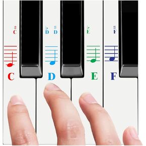 QMG Piano Stickers for All White Keys (49/61/76/88 Key Keyboards) – Bright Colorful Letters, Transparent and Removable, Perfect visual tool for kids and beginners, Key-Top design, Made in USA