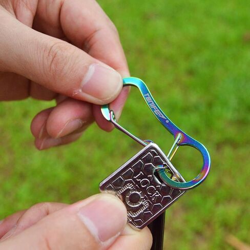 TONIFE Carabiner Clip 2-Pack, Stainless Steel Carabiner Keychain, Spring Snap Hook for Dog Leash and Key Ring in Saudi Arabia