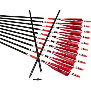 TTFLY FLETCHING 12PCS Red Turkey Feather 31 inches Carbon Arrows Replacement Tips Targeting Arrows Archery for Recurve Longbow Hunting&Practice