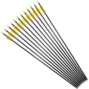 Practice Fiberglass Arrows Archery 24/26 / 28/30 Inch Target Shooting Safetyglass Recurve Bows Suitable for Youth Children Woman Beginner 6 / 12PCS Pack
