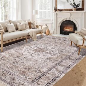 Pauwer Boho Area Rug 3x5, Machine Washable Area Rugs for Living Room, Soft Bedroom Throw Area Rug with Non Slip Rubber Backing, Farmhouse Vintage Area Rug Carpet for Entryway Dorm Kitchen, Beige