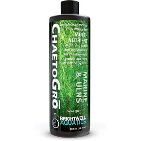 Brightwell Aquatics Chaeto GRO - Multi-Nutrient Supplement for Chaetomorpha Growth in All Marine Aquariums, 500 ML in Kuwait