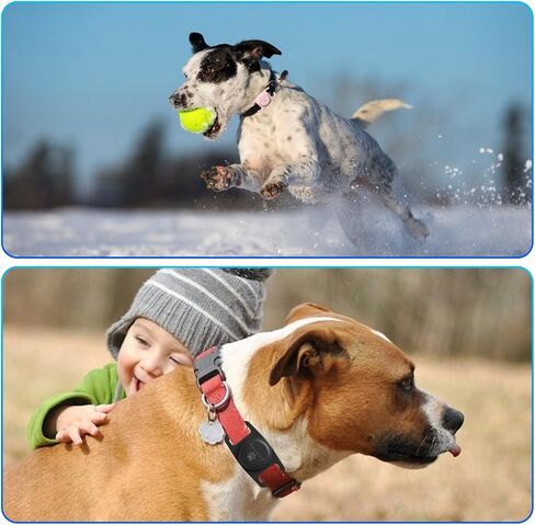 AirTag Dog Collar Holder [2 Pack] - Durable Apple AirTag Holder Secure Lock for GPS Tracking, Anti-Slip Waterproof Pet Collar Accessories (Black&White) in Saudi Arabia