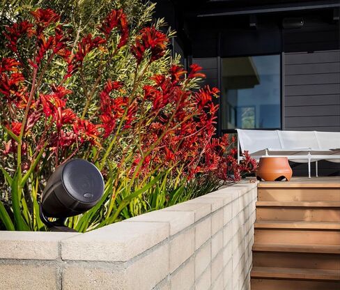 Polk Audio Atrium 4 Outdoor Speakers with Powerful Bass (Pair, White), All-Weather Durability, Broad Sound Coverage, Speed-Lock Mounting System in Saudi Arabia