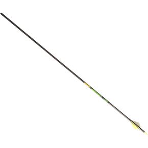 Gold Tip Hunter XT Arrows with Raptor Vane (Pack of 6)