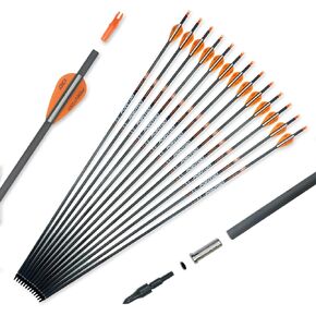 100% Carbon Arrow Practice Hunting Arrows with Removable Tips for Compound & Recurve Bow(Pack of 12)