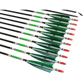 TTFLY FLETCHING 31 inch Carbon Arrows Green Turkey Feather Targeting Arrows Archery with Screw-in Field Tips Hunting&Practice(12 Pack)