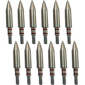 100/125/150/175/200 Grains Stainless Steel Archery Field Points, Arrow Target Field Points in Archery Field Tips and Broadheads 1 Dozen 12 PCS (T 5/16″-200grains)
